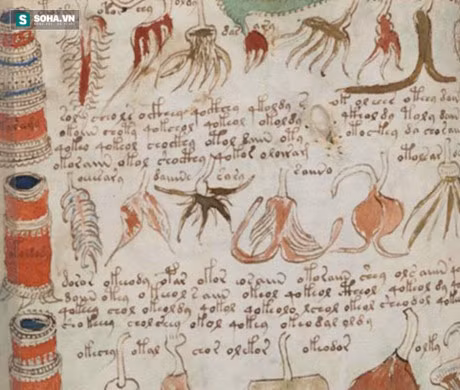 Cau chuyen ly ky ve cuon sach bi an nhat trong lich su nhan loai - Anh 8