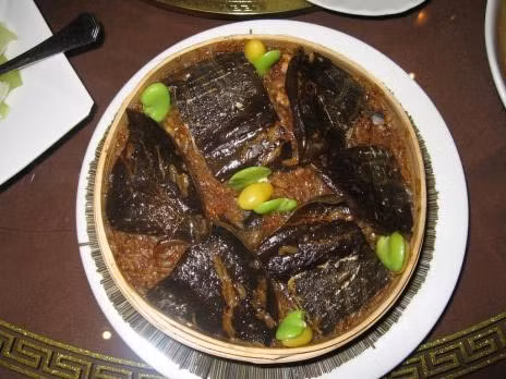 thịt rùa, súp thịt rùa