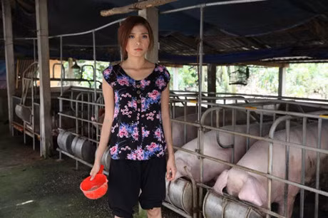 Sau dam cuoi ngon tinh, vo chong Luong The Thanh 