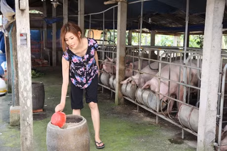 Sau dam cuoi ngon tinh, vo chong Luong The Thanh 