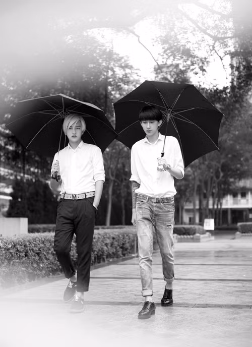 Sao nam Trung Quốc cưới người tình đồng giới ảnh 7