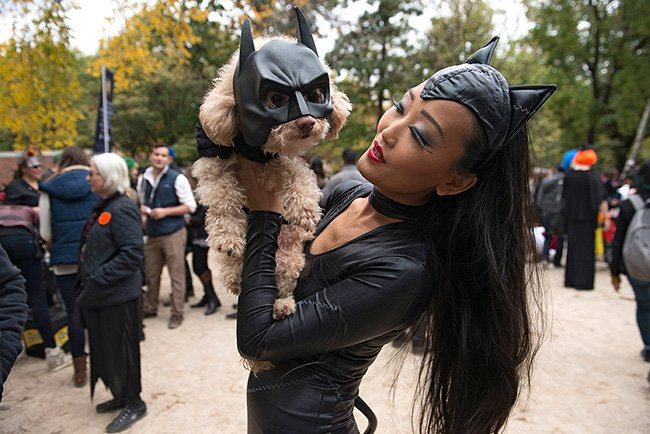 15 màn hóa trang Haloween “khó đỡ” giữa người và thú cưng hình ảnh 13 15 man hoa trang haloween “kho do” giua nguoi va thu cung hinh anh 13