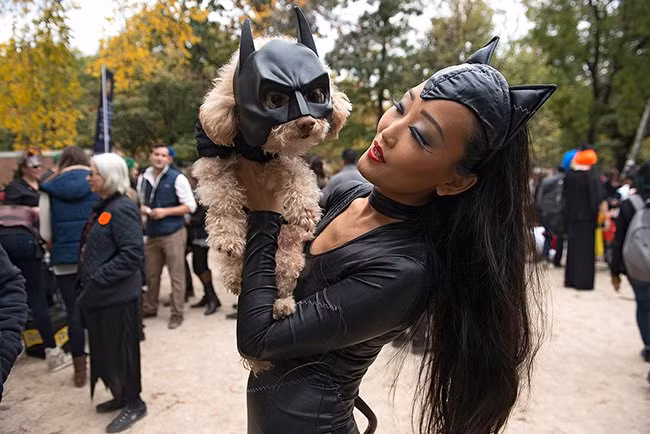 15 màn hóa trang Haloween “khó đỡ” giữa người và thú cưng hình ảnh 13 15 man hoa trang haloween “kho do” giua nguoi va thu cung hinh anh 13