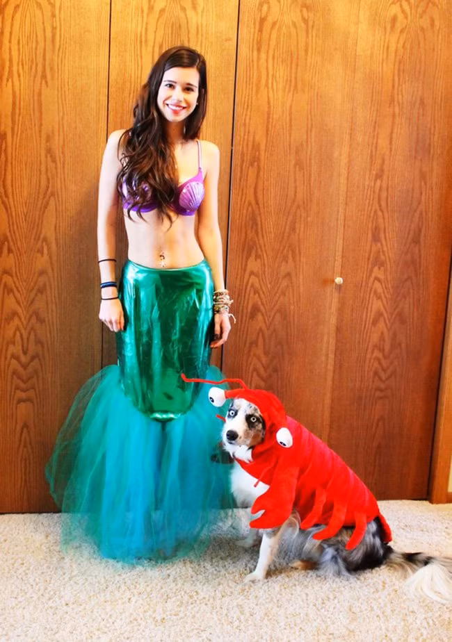 15 màn hóa trang Haloween “khó đỡ” giữa người và thú cưng hình ảnh 5 15 man hoa trang haloween “kho do” giua nguoi va thu cung hinh anh 5