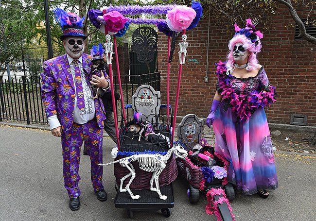 15 màn hóa trang Haloween “khó đỡ” giữa người và thú cưng hình ảnh 11 15 man hoa trang haloween “kho do” giua nguoi va thu cung hinh anh 11