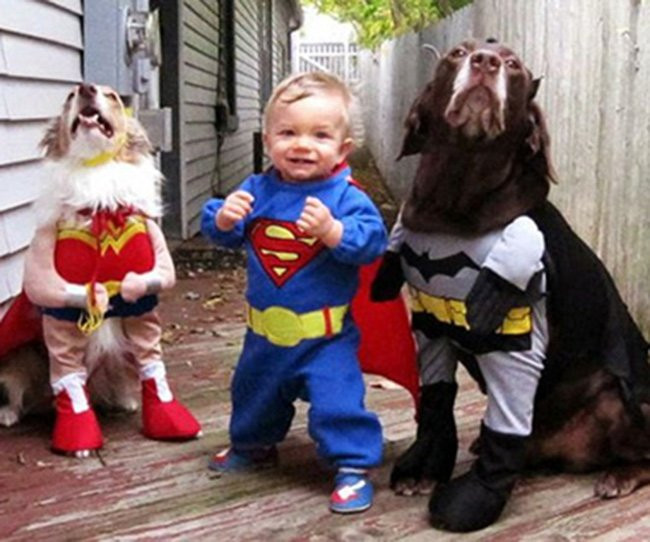 15 màn hóa trang Haloween “khó đỡ” giữa người và thú cưng hình ảnh 15 15 man hoa trang haloween “kho do” giua nguoi va thu cung hinh anh 15