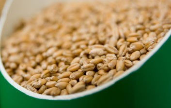 6 thực phẩm giúp bạn trẻ hơn tuổi 