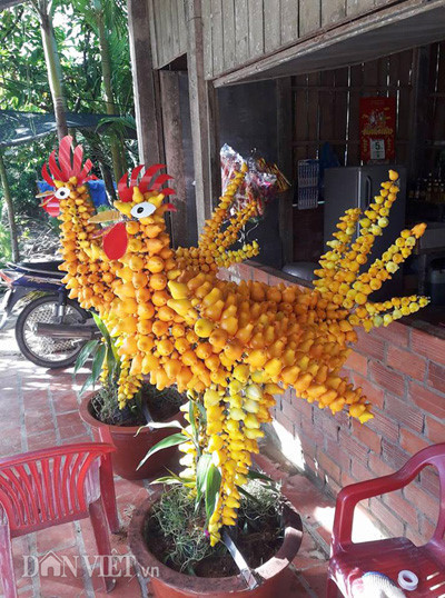 Lạ mắt cây dư hình Đinh Dậu đắt khách ngày cận Tết - Ảnh 1 La mat cay du hinh Dinh Dau dat khach ngay can Tet - Anh 1