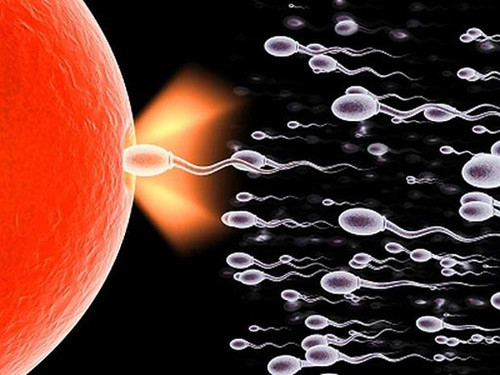 Đàn ông có tinh trùng khỏe mạnh sẽ giúp cho quá trình thụ thai thuận lợi và sinh ra những em bé khỏe mạnh, thông minh. Ảnh minh họa