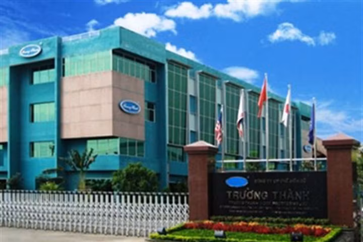 Cha con ông Thành muốn sử dụng tài sản của bản thân tại TTF và các công ty con để khắc phục hậu quả. Ảnh: MH