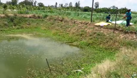 Sat nhan cuong buc be gai 9 tuoi roi phi tang xac xuong ao: Siet co den chet chi vi nan nhan chui con gai minh - Anh 2