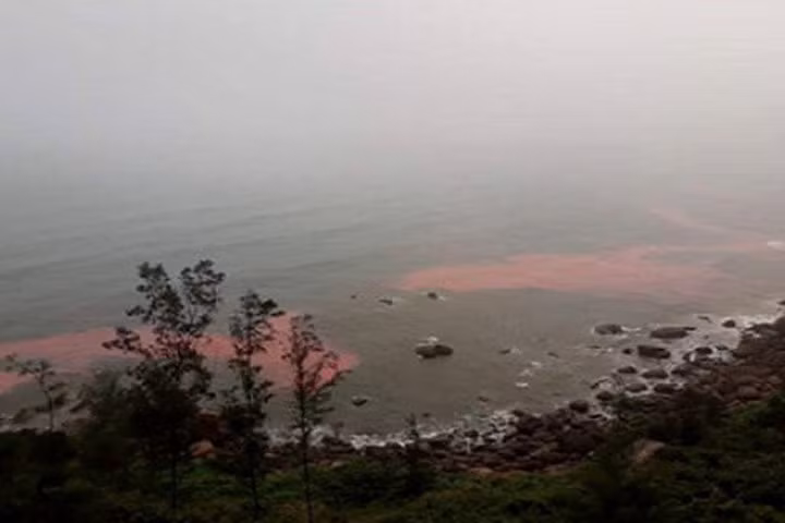 Dải nước màu đỏ xuất hiện gần bờ biển Lăng Cô vào ngày 22/2. Ảnh: N.D.