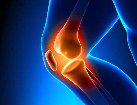 6 dấu hiệu cảnh báo gan gặp vấn đề - Ảnh 3 6 dau hieu canh bao gan gap van de - Anh 3