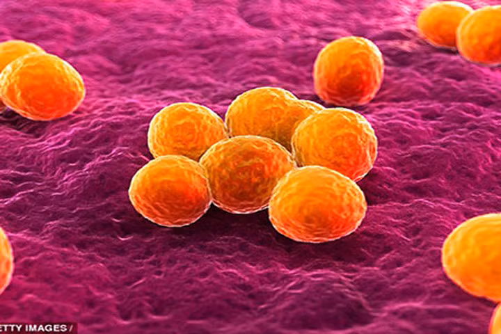 WHO cảnh báo cần khẩn cấp nghiên cứu và sản xuất các loại kháng sinh mới chống lại 12 họ vi khuẩn.