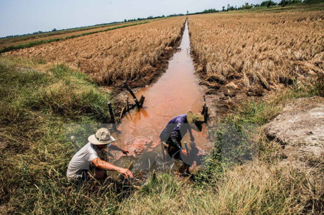 10 sự kiện nổi bật của Việt Nam năm 2016 do TTXVN bình chọn - Ảnh 7 10 su kien noi bat cua Viet Nam nam 2016 do TTXVN binh chon - Anh 7