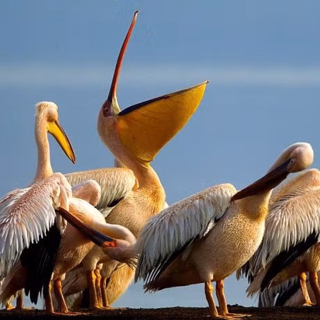 Ky thu canh quan He thong ho trong thung lung nut vo lon cua Kenya - Anh 4