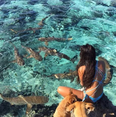 Bo anh goi cam ngoan muc cua 