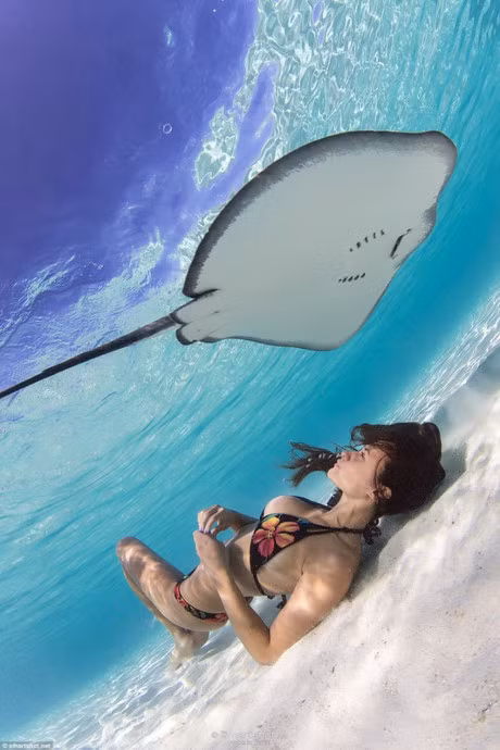 Bo anh goi cam ngoan muc cua 