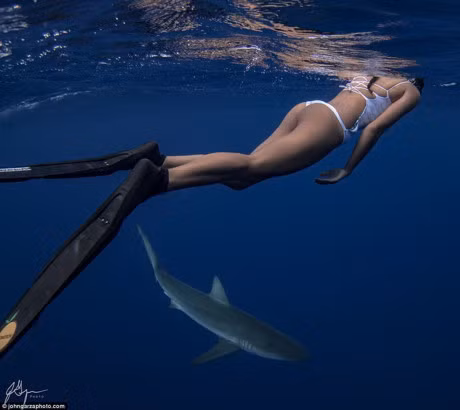 Bo anh goi cam ngoan muc cua 