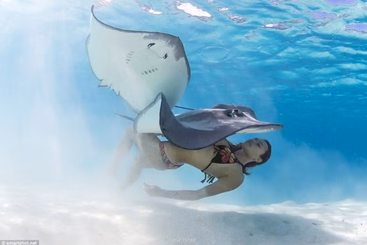 Bộ ảnh gợi cảm ngoạn mục của "cô gái đại dương"