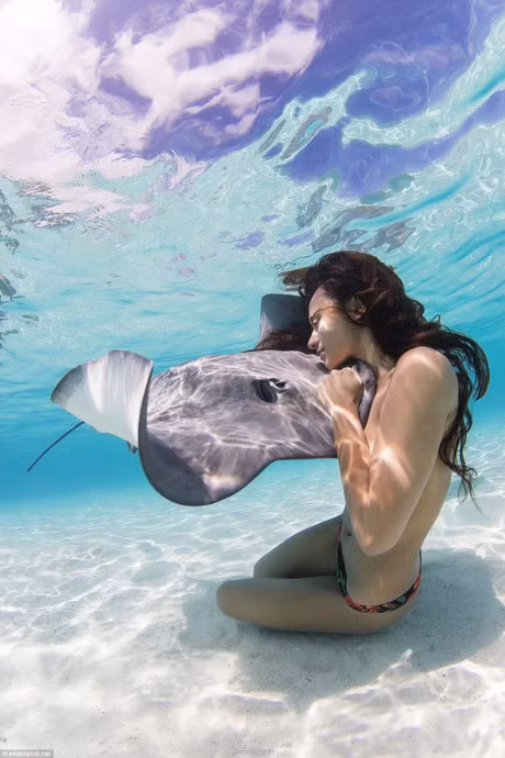 Bo anh goi cam ngoan muc cua 