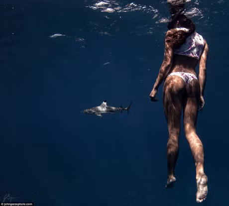 Bo anh goi cam ngoan muc cua 