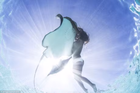 Bo anh goi cam ngoan muc cua 