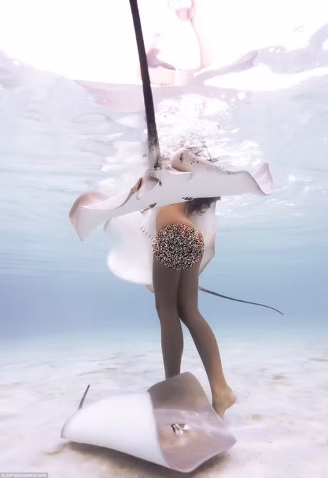 Bo anh goi cam ngoan muc cua 