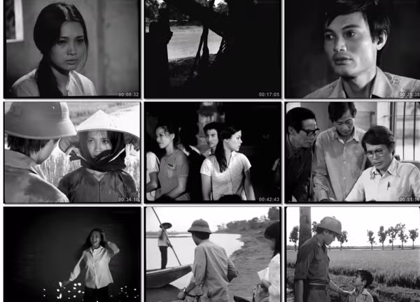 Đạo diễn Đặng Nhật Minh nhận giải Điện ảnh Nobel Hòa bình Kim Dae-jung ảnh 2