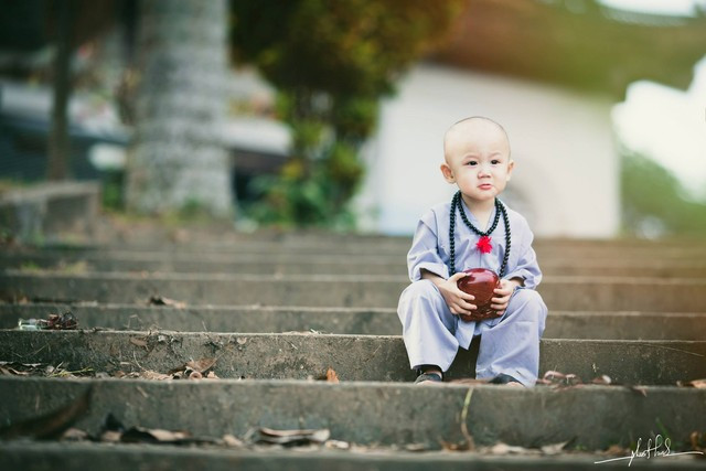 Đổ gục trước “Chú tiểu đáng yêu nhất Vịnh Bắc Bộ“ ảnh 13 Đổ gục trước “Chú tiểu đáng yêu nhất Vịnh Bắc Bộ“ ảnh 13