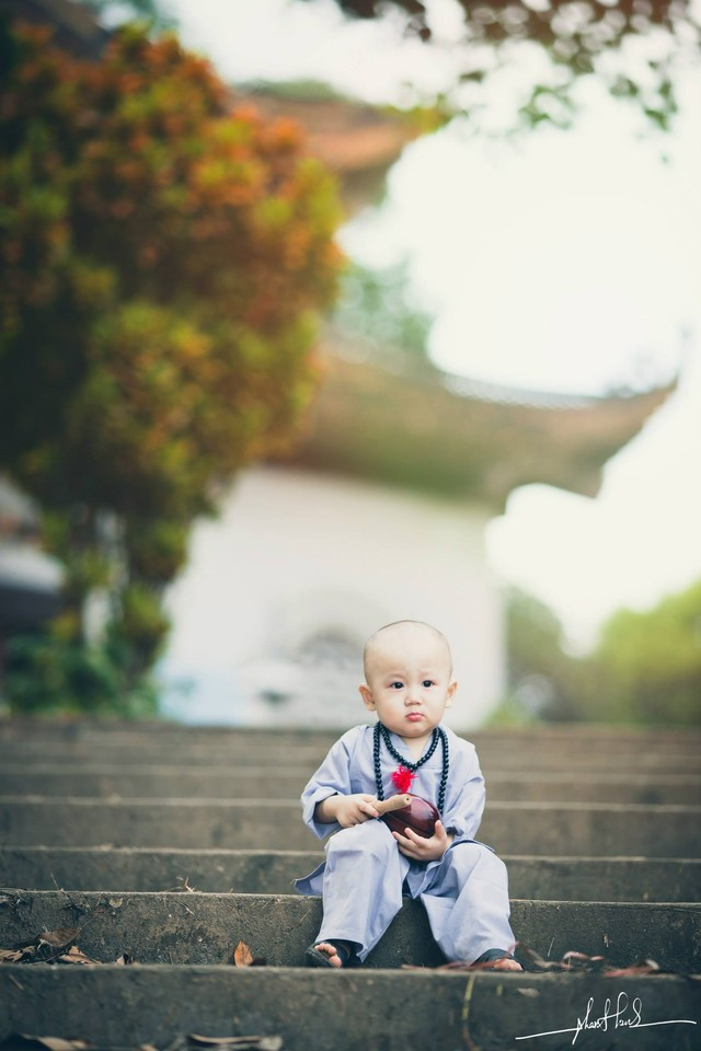 Đổ gục trước “Chú tiểu đáng yêu nhất Vịnh Bắc Bộ“ ảnh 14 Đổ gục trước “Chú tiểu đáng yêu nhất Vịnh Bắc Bộ“ ảnh 14