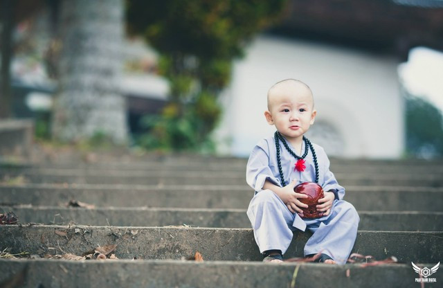 Đổ gục trước “Chú tiểu đáng yêu nhất Vịnh Bắc Bộ“ ảnh 6 Đổ gục trước “Chú tiểu đáng yêu nhất Vịnh Bắc Bộ“ ảnh 6