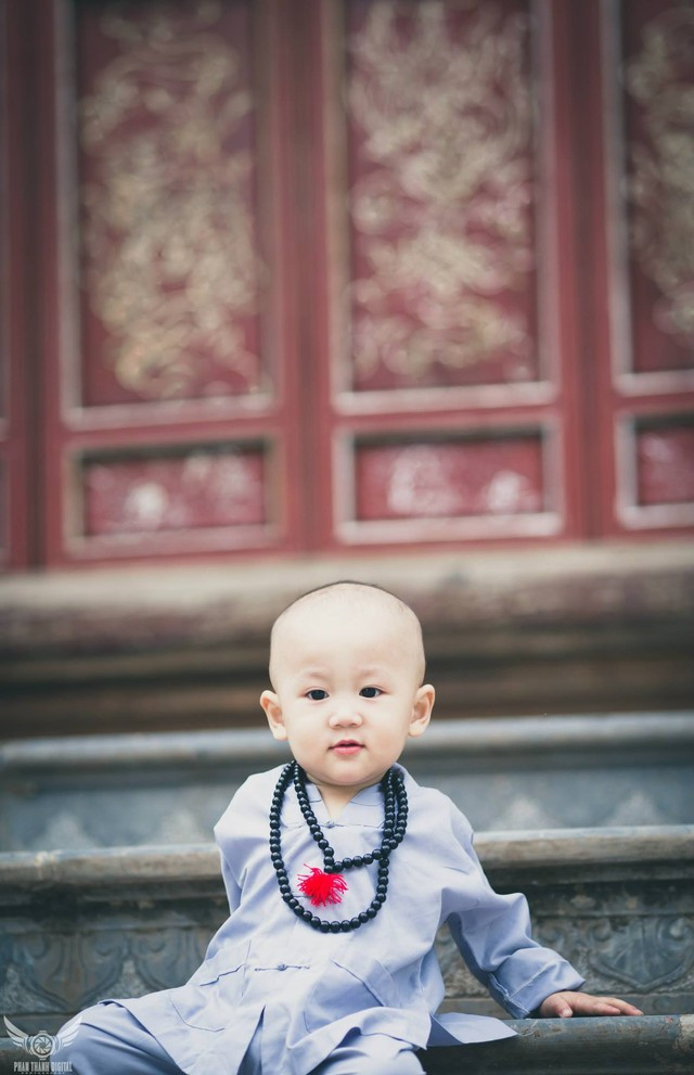 Đổ gục trước “Chú tiểu đáng yêu nhất Vịnh Bắc Bộ“ ảnh 7 Đổ gục trước “Chú tiểu đáng yêu nhất Vịnh Bắc Bộ“ ảnh 7