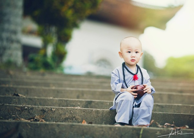Đổ gục trước “Chú tiểu đáng yêu nhất Vịnh Bắc Bộ“ ảnh 2 Đổ gục trước “Chú tiểu đáng yêu nhất Vịnh Bắc Bộ“ ảnh 2