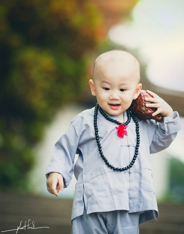 Đổ gục trước “Chú tiểu đáng yêu nhất Vịnh Bắc Bộ“ ảnh 9 Đổ gục trước “Chú tiểu đáng yêu nhất Vịnh Bắc Bộ“ ảnh 9