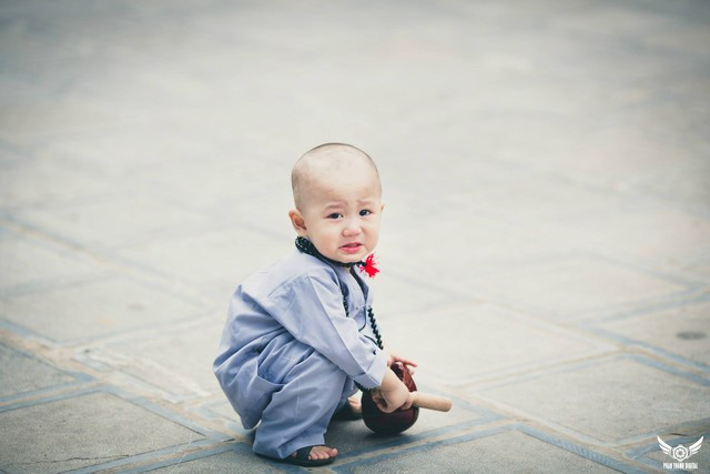 Đổ gục trước “Chú tiểu đáng yêu nhất Vịnh Bắc Bộ“ ảnh 10 Đổ gục trước “Chú tiểu đáng yêu nhất Vịnh Bắc Bộ“ ảnh 10