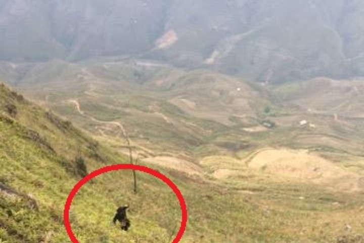 Phượt thủ rơi xuống vực bên cạnh "sống lưng khủng long" ở Tà Xùa