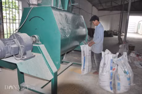 Trung Quoc bat dau mua lon tro lai, gia lon mien Bac tang 3.000d/kg - Anh 3