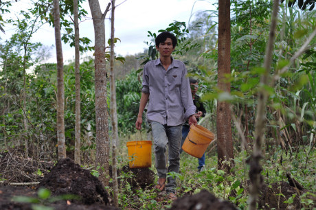 Theo chan tho san bo cap rung - Anh 1