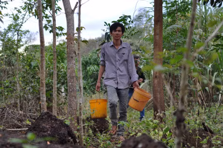 Theo chan tho san bo cap rung - Anh 1