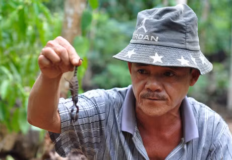 Theo chan tho san bo cap rung - Anh 8