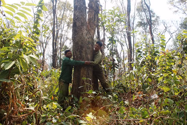 Hai “mãnh hổ” Rơ Mah Kem (trái) và Nguyễn Hữu Mạnh bên rừng hương do hai ông chăm sóc, gìn giữ. Ảnh: Đình Văn