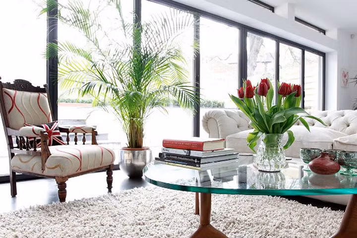 6 loại cây mang may mắn tài lộc khi bày văn phòng