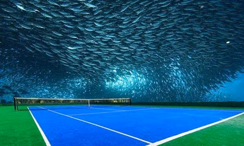 Sân tennis dưới đáy biển: 2,5 tỷ đô cho lịch sử