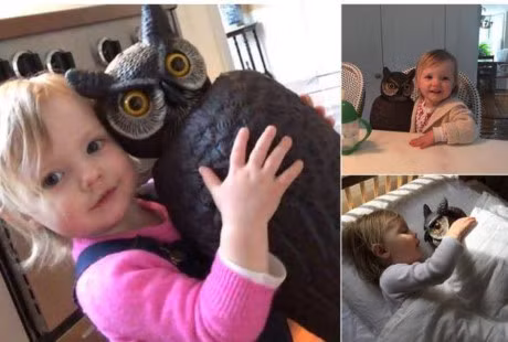 Nhung tinh huong ma lo-gic suy nghi cua tre em khien nguoi lon phai 