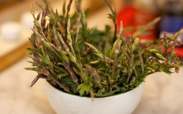 Những loại rau, củ đăt đỏ nhất thế giới được đại gia săn lùng ảnh 4 Những loại rau, củ đăt đỏ nhất thế giới được đại gia săn lùng ảnh 4
