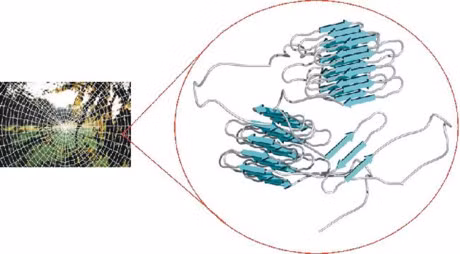 Dung mang nhen chua vet thuong - Anh 2