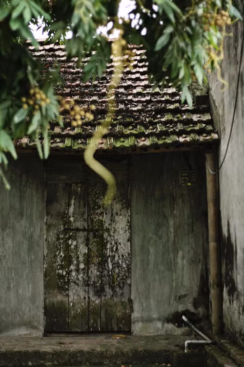 Những câu chuyện kỳ bí quanh ngôi nhà Bá Kiến