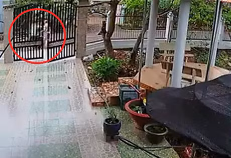 Cuop vo hoi duong roi giat day chuyen ngay giua ban ngay - Anh 2