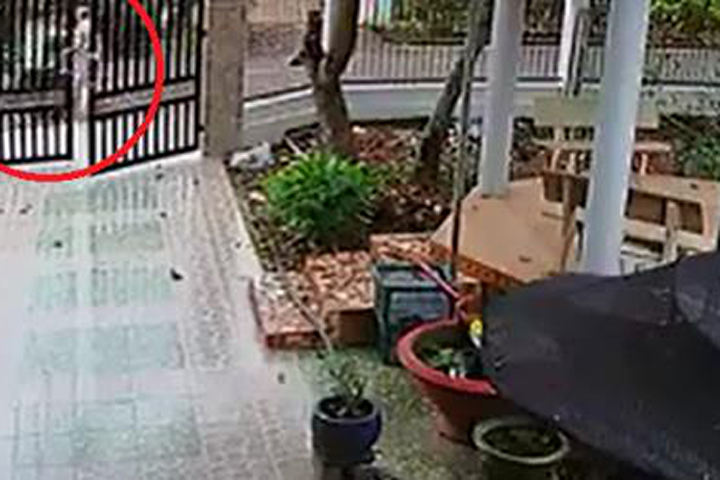 Cướp vờ hỏi đường rồi giật dây chuyền ngay giữa ban ngày